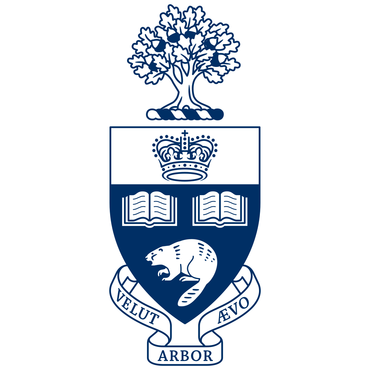 多伦多大学